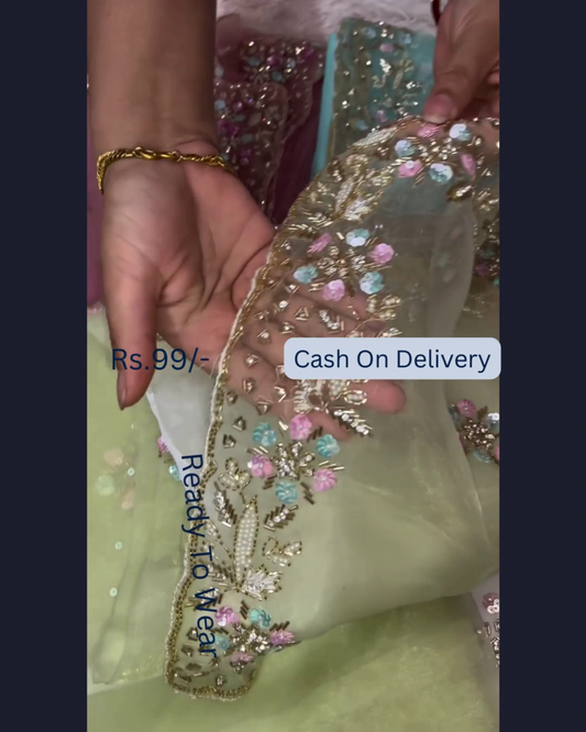 Lime Frost Embroidered Organza Dupatta